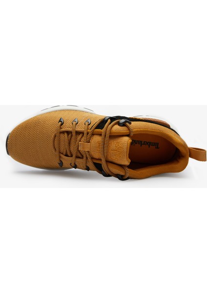 Low Lace Up.-