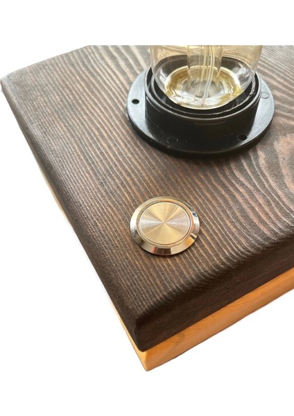 Metal Kalıcı Buton (Aç ve Kapat) 19MM (1no+1nc) modelleri