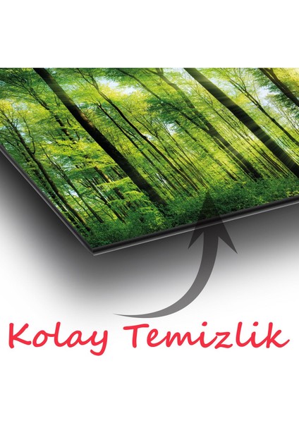 Orman Manzara Panoramik Cam Tablo, Modern Ev Ofis Yatak Odası Duvar Dekoru, Hediyelik Tablo