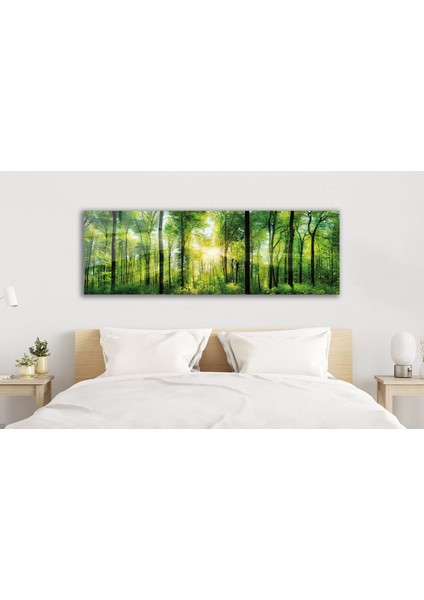 Orman Manzara Panoramik Cam Tablo, Modern Ev Ofis Yatak Odası Duvar Dekoru, Hediyelik Tablo