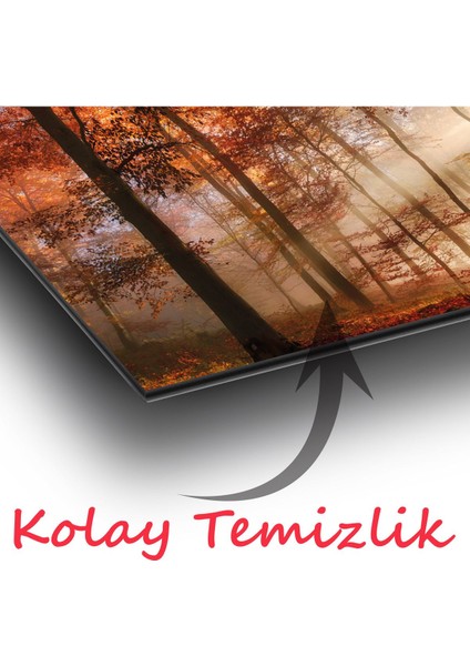 Orman Ağaçlar Panoramik Cam Tablo, Modern Ev Ofis Yatak Odası Duvar Dekoru, Hediyelik Tablo fiyatları