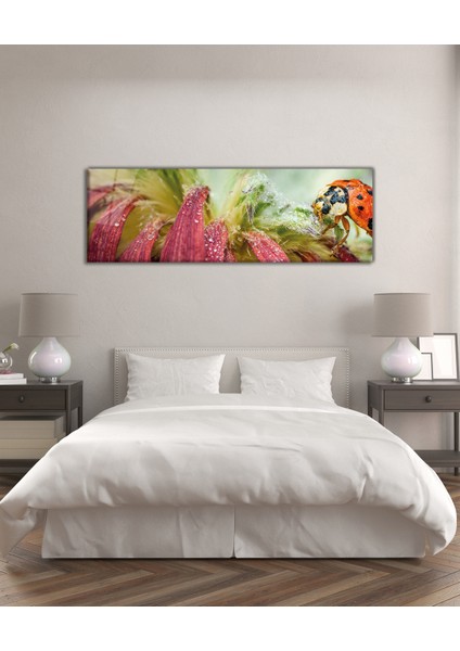 Uğur Böceği ve Çiçek Panoramik Cam Tablo, Modern Ev Ofis Yatak Odası Duvar Dekoru, Hediyelik Cam