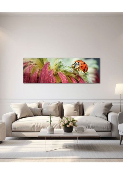 Uğur Böceği ve Çiçek Panoramik Cam Tablo, Modern Ev Ofis Yatak Odası Duvar Dekoru, Hediyelik Cam fiyatları