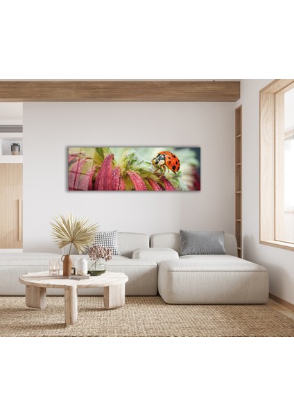 Uğur Böceği ve Çiçek Panoramik Cam Tablo, Modern Ev Ofis Yatak Odası Duvar Dekoru, Hediyelik Cam modelleri