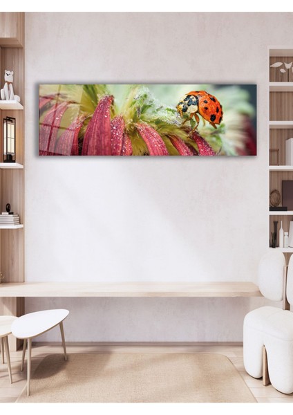 Uğur Böceği ve Çiçek Panoramik Cam Tablo, Modern Ev Ofis Yatak Odası Duvar Dekoru, Hediyelik Cam fırsatları