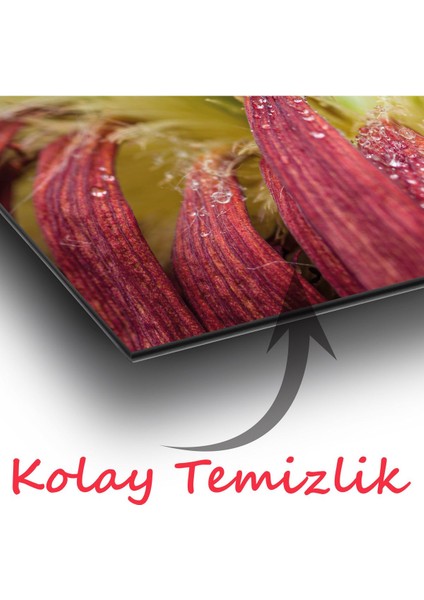 Uğur Böceği ve Çiçek Panoramik Cam Tablo, Modern Ev Ofis Yatak Odası Duvar Dekoru, Hediyelik Cam indirimleri