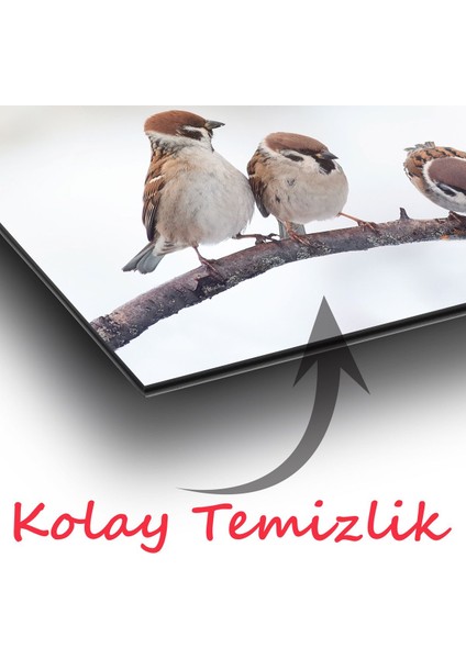 Serçe Kuşları Panoramik Cam Tablo, Modern Ev Ofis Yatak Odası Duvar Dekoru, Hediyelik Tablo modelleri