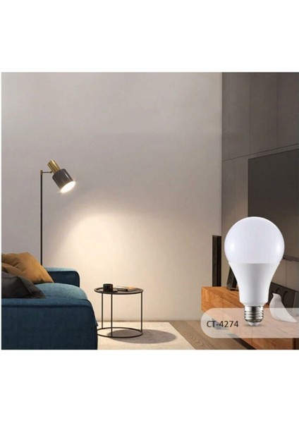 CT-4274 15 Watt LED Ampul Günışığı