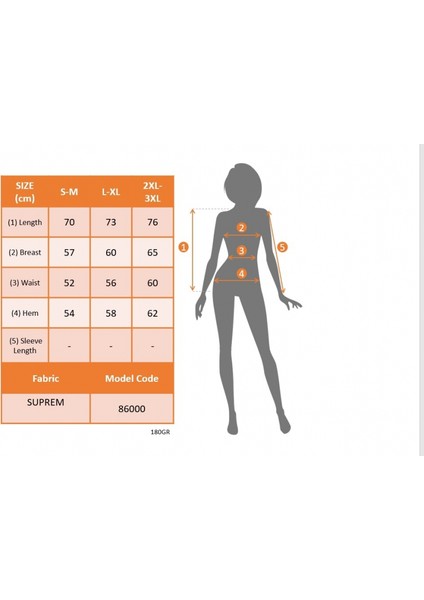 Kadın Kısa Kollu Bisiklet Yaka Kedi Baskılı Süprem Bluz fırsatları