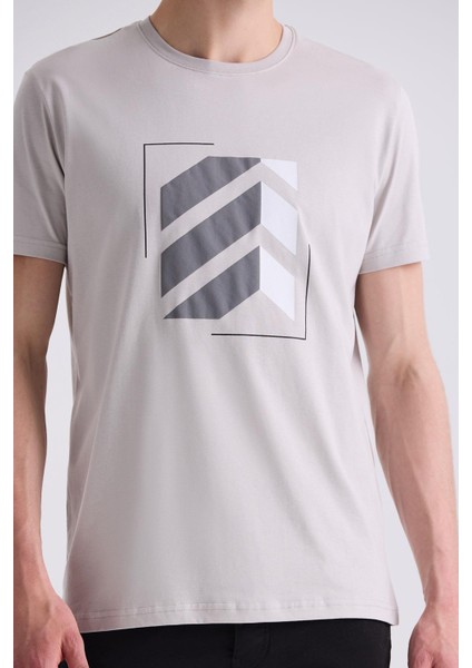 Gri Slim Fit Bisiklet Yaka T-Shirt modelleri