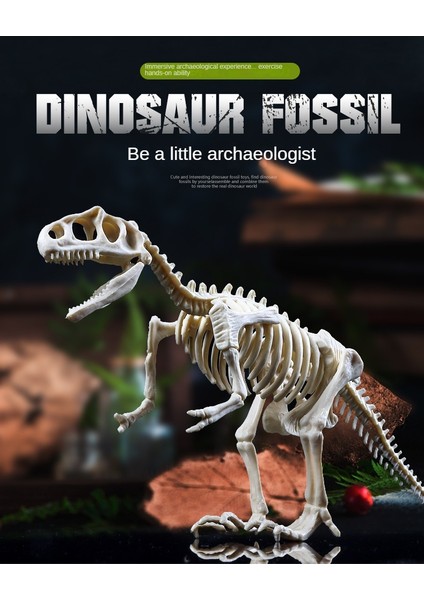 Arkeolojik Montaj ve Kazı Diy Dinozor Fosili Oyuncakları (Yurt Dışından) fiyatları
