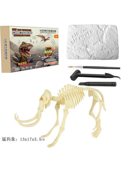 Arkeolojik Montaj ve Kazı Diy Dinozor Fosili Oyuncakları (Yurt Dışından)