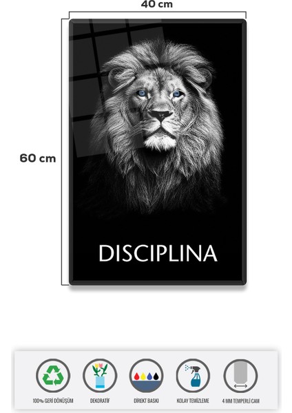 Cam Tablo | Motivasyon Serisi | Lion - Discipline | 40CM x 60CM