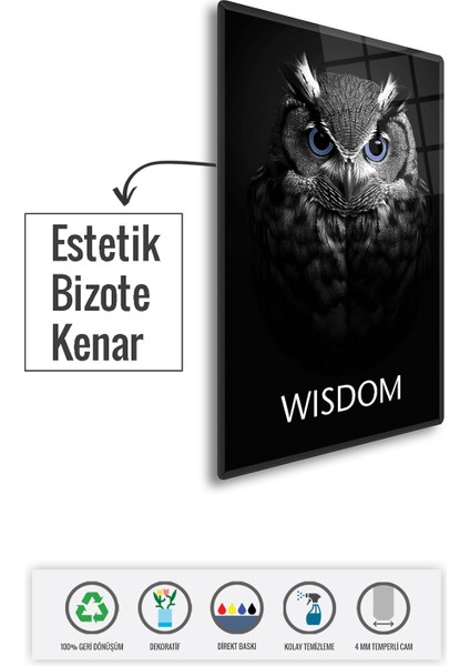 Cam Tablo | Motivasyon Serisi | Owl - Wisdom | 40CM x 60CM