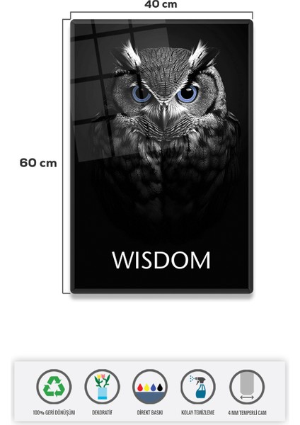 Cam Tablo | Motivasyon Serisi | Owl - Wisdom | 40CM x 60CM