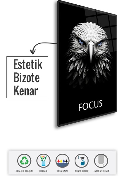 Cam Tablo | Motivasyon Serisi | Eagle - Focus | 40CM x 60CM