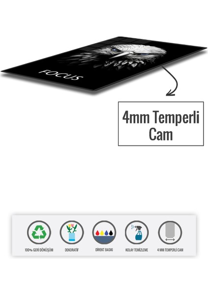 Cam Tablo | Motivasyon Serisi | Eagle - Focus | 40CM x 60CM