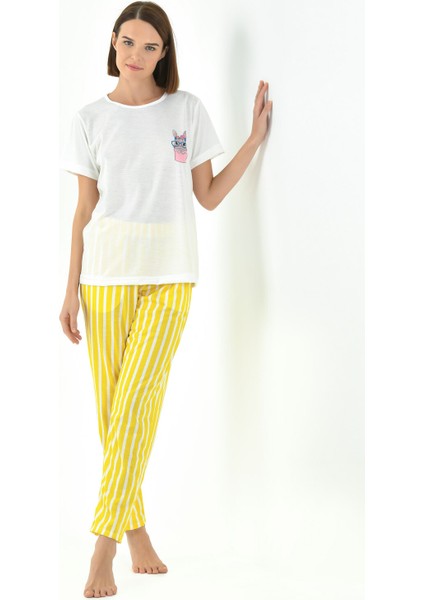 Çizgili Kadın Pijama Takımı