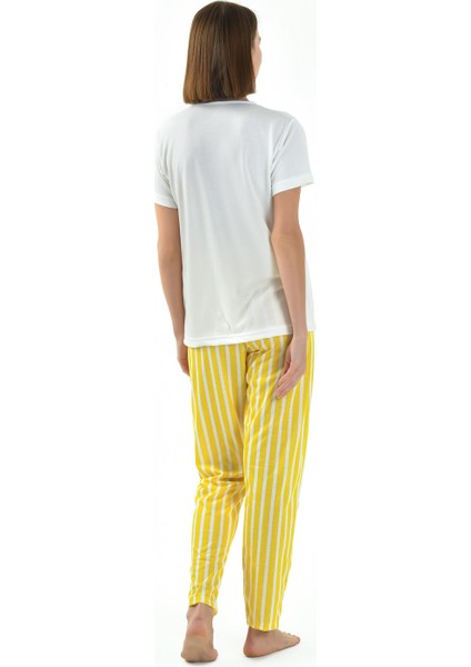 Çizgili Kadın Pijama Takımı fiyatları