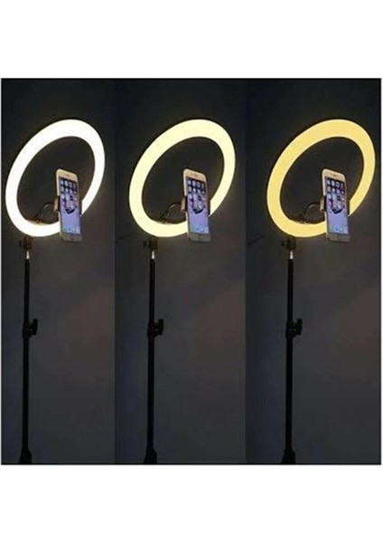 14 Inç Ring Fill Light LED Işıklı Tripod Halka Youtuber Tiktok Makyaj Işığı Ayaklı Tripot 14INÇ fiyatları