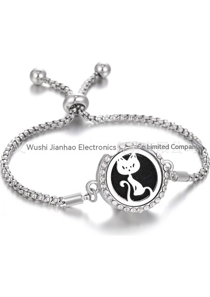 Paslanmaz Çelik Içi Boş Aromaterapi Esansiyel Yağı Bileklik (Yurt Dışından)