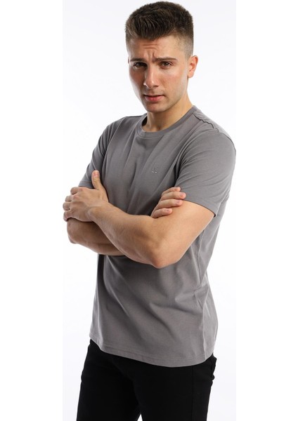 Erkek Golf Nakışlı Regular Fit Basic Tişört Gri modelleri