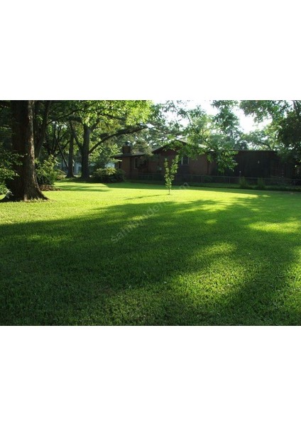 5s Silhoutte 10 kg Çim Tohumu modelleri