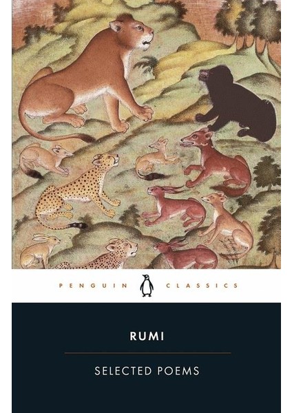 Selected Poems - Mevlana Celaleddin Rumi