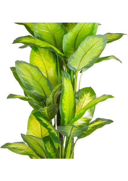 Yapay Ağaç Difenbahya Gerçek Dokulu 47 Yaprak 180 Cm.