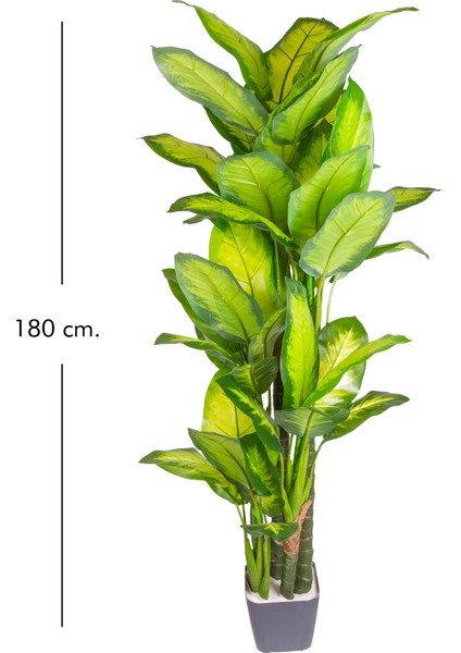 Yapay Ağaç Difenbahya Gerçek Dokulu 47 Yaprak 180 Cm.