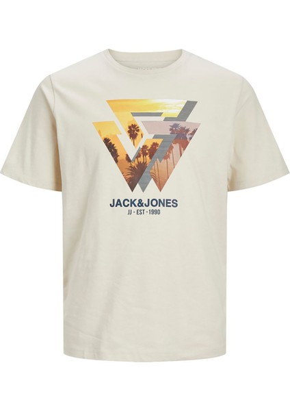 Erkek T-Shirt 12247798