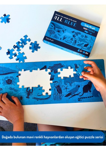 All Blue-Mavi Hayvanlar Midi Puzzle | 80 Parça 5+ Yaş