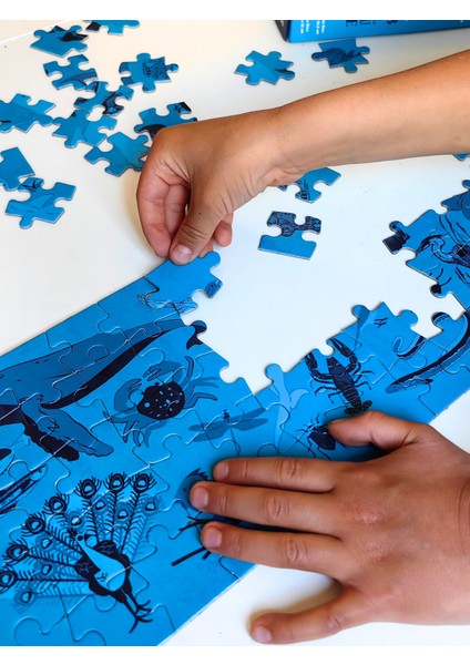 All Blue-Mavi Hayvanlar Midi Puzzle | 80 Parça 5+ Yaş