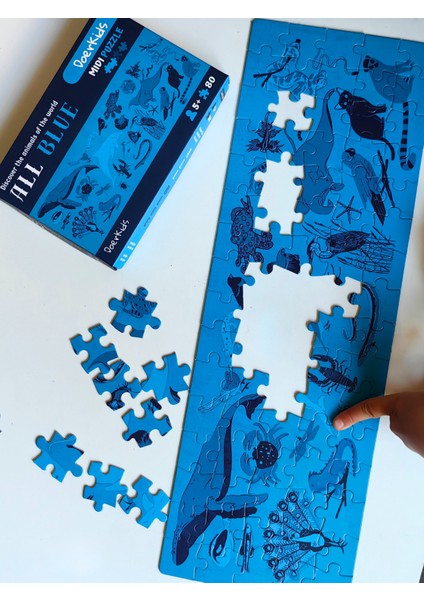 All Blue-Mavi Hayvanlar Midi Puzzle | 80 Parça 5+ Yaş