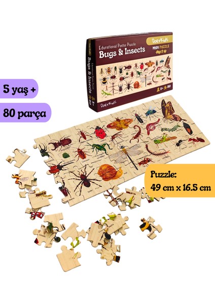 Bugs & Insects - Böcekler Midi Puzzle | 80 Parça 5+ Yaş