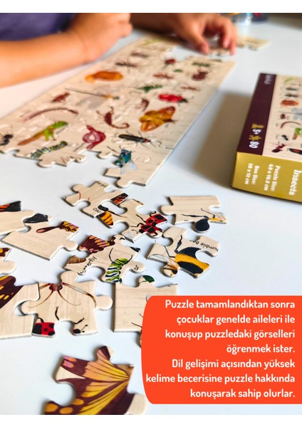 Bugs & Insects - Böcekler Midi Puzzle | 80 Parça 5+ Yaş