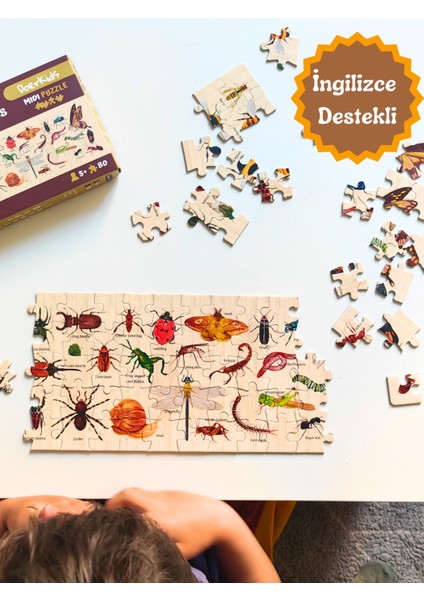 Bugs & Insects - Böcekler Midi Puzzle | 80 Parça 5+ Yaş