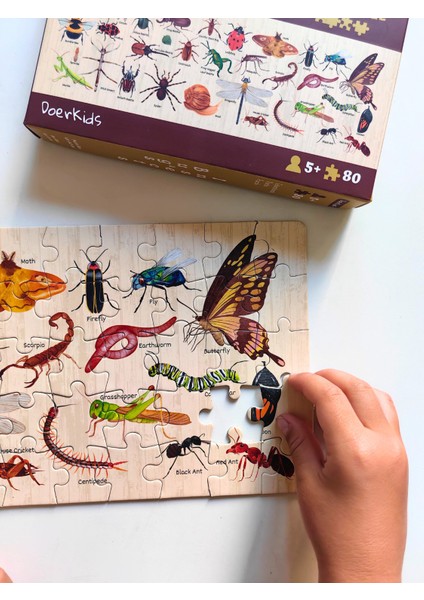 Bugs & Insects - Böcekler Midi Puzzle | 80 Parça 5+ Yaş