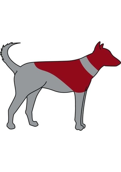 Köpek Koruyucu Şişme Yakalık S, Mavi
