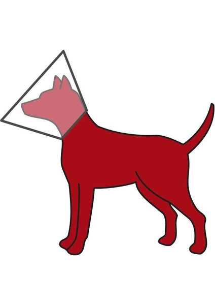 Kedi&Köpek Koruyucu Yakalık Xs 18-23cm 8cm