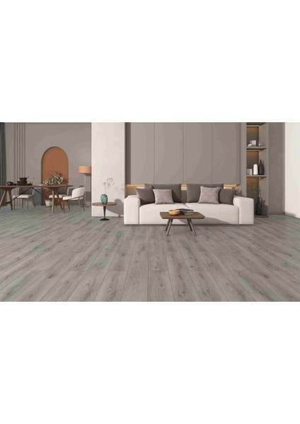 Erasmus Parke fiyatları