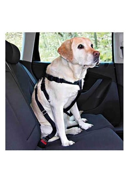 Köpek Emniyet Kemeri L 70-90cm
