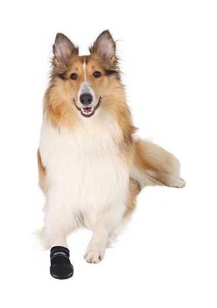 Köpek Patiği Neopren 2 Adet XL Siyah