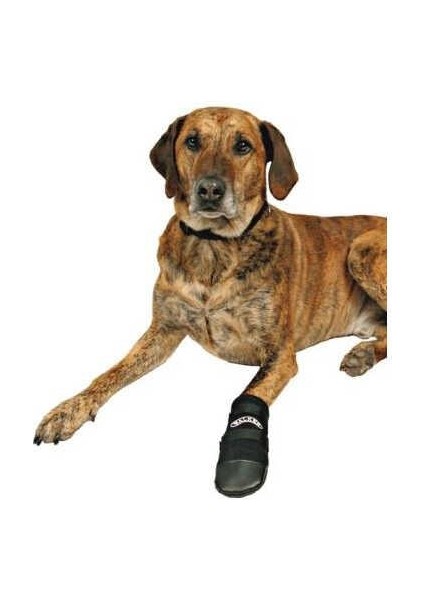 Köpek Patiği Neopren 2 Adet XL Siyah