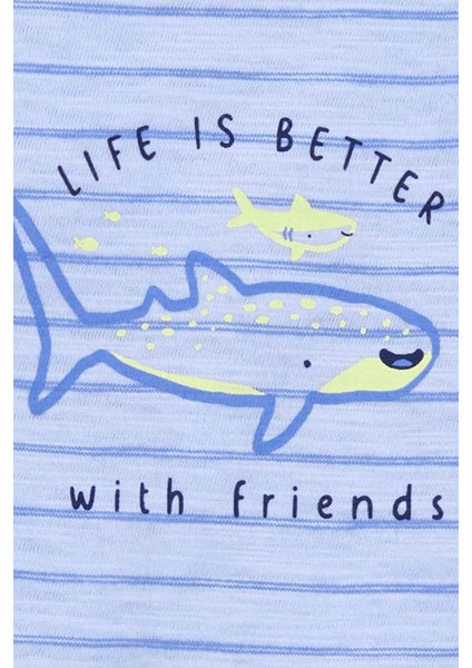 Erkek Bebek 3lü Set modelleri