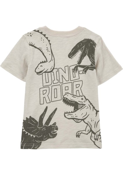 Küçük Erkek Çocuk Tshirt fiyatları