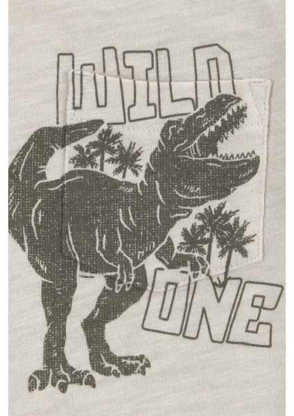 Küçük Erkek Çocuk Tshirt modelleri