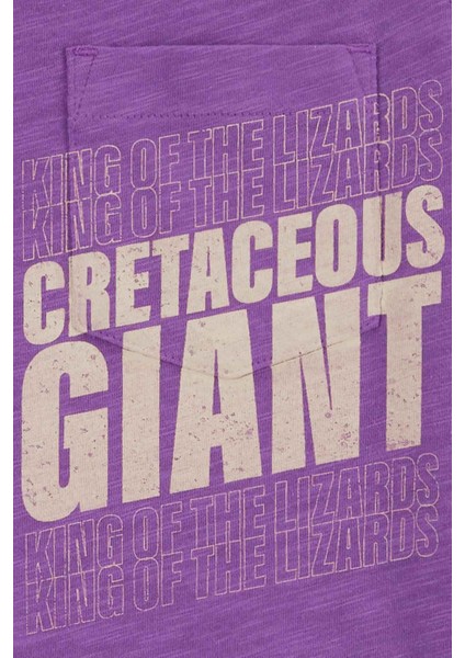 Erkek Çocuk Tshirt modelleri