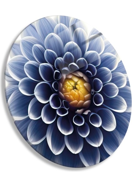 Yuvarlak Temperli Gerçek Cam Tablo Yakın Çekim Yıldız Çiçeği modelleri