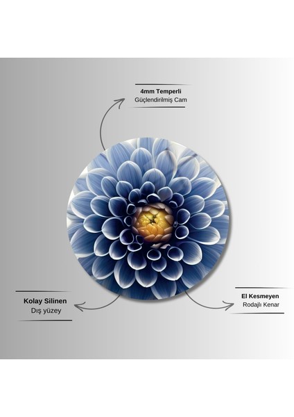 Yuvarlak Temperli Gerçek Cam Tablo Yakın Çekim Yıldız Çiçeği fırsatları